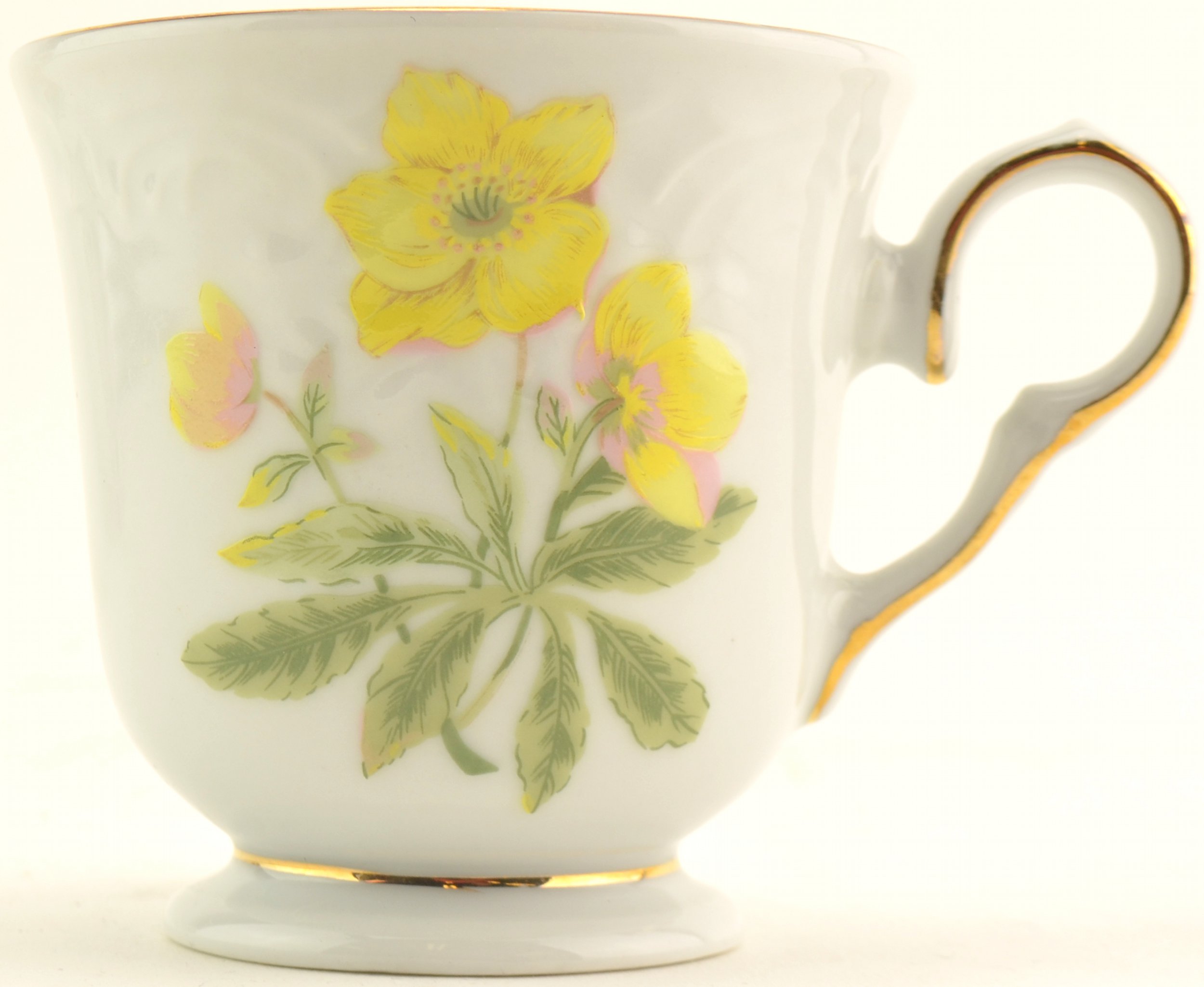 Tienshan China - Floriade Pattern - Footed Cup