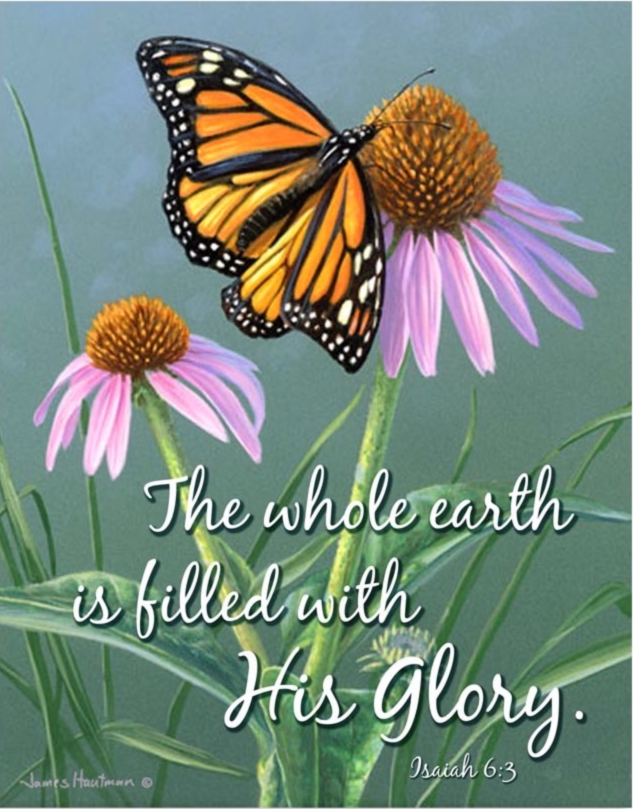 In God's Garden - Garden Flag - Monarch Butterfly