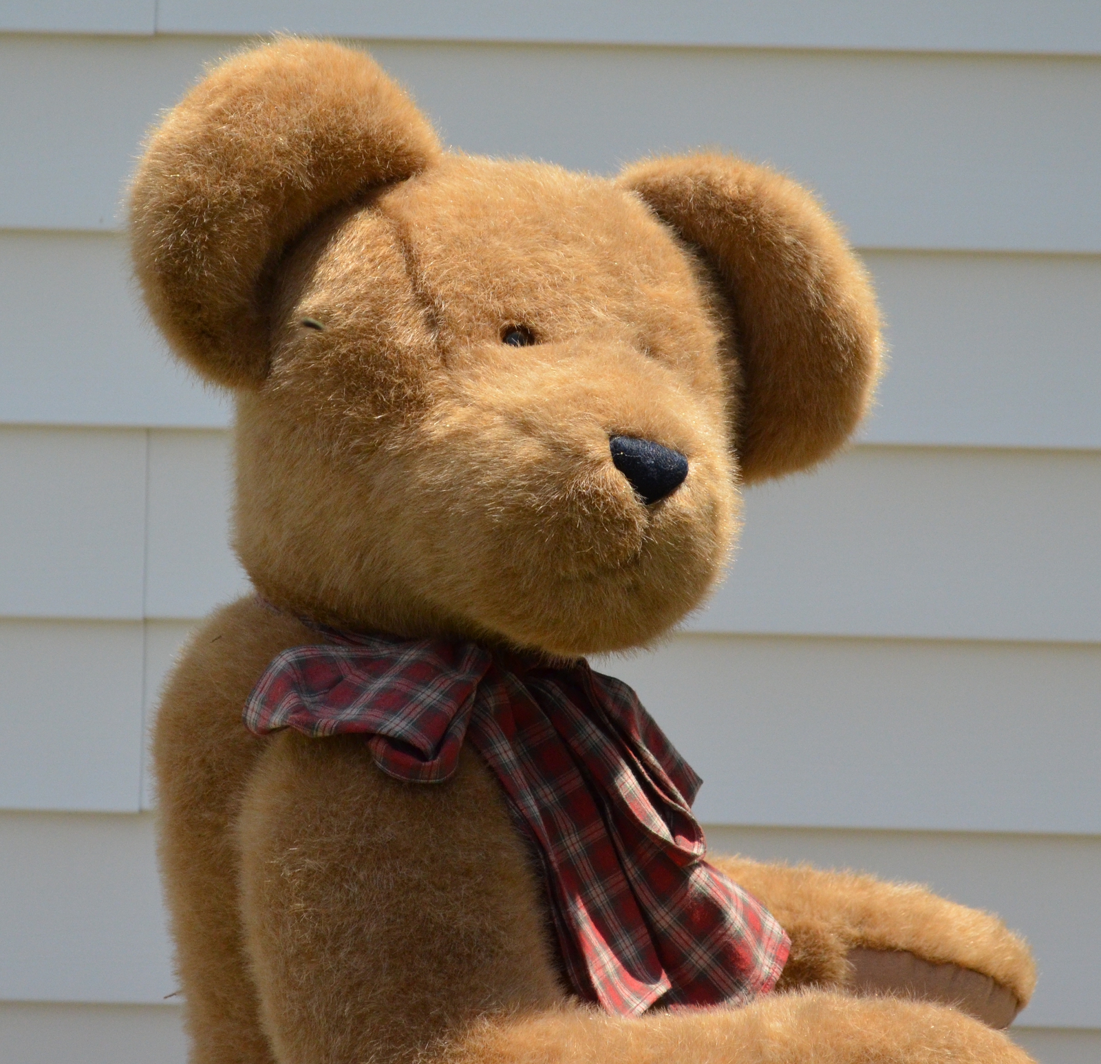 Steiff Bears For Sale, Nana's Teddies & Toys