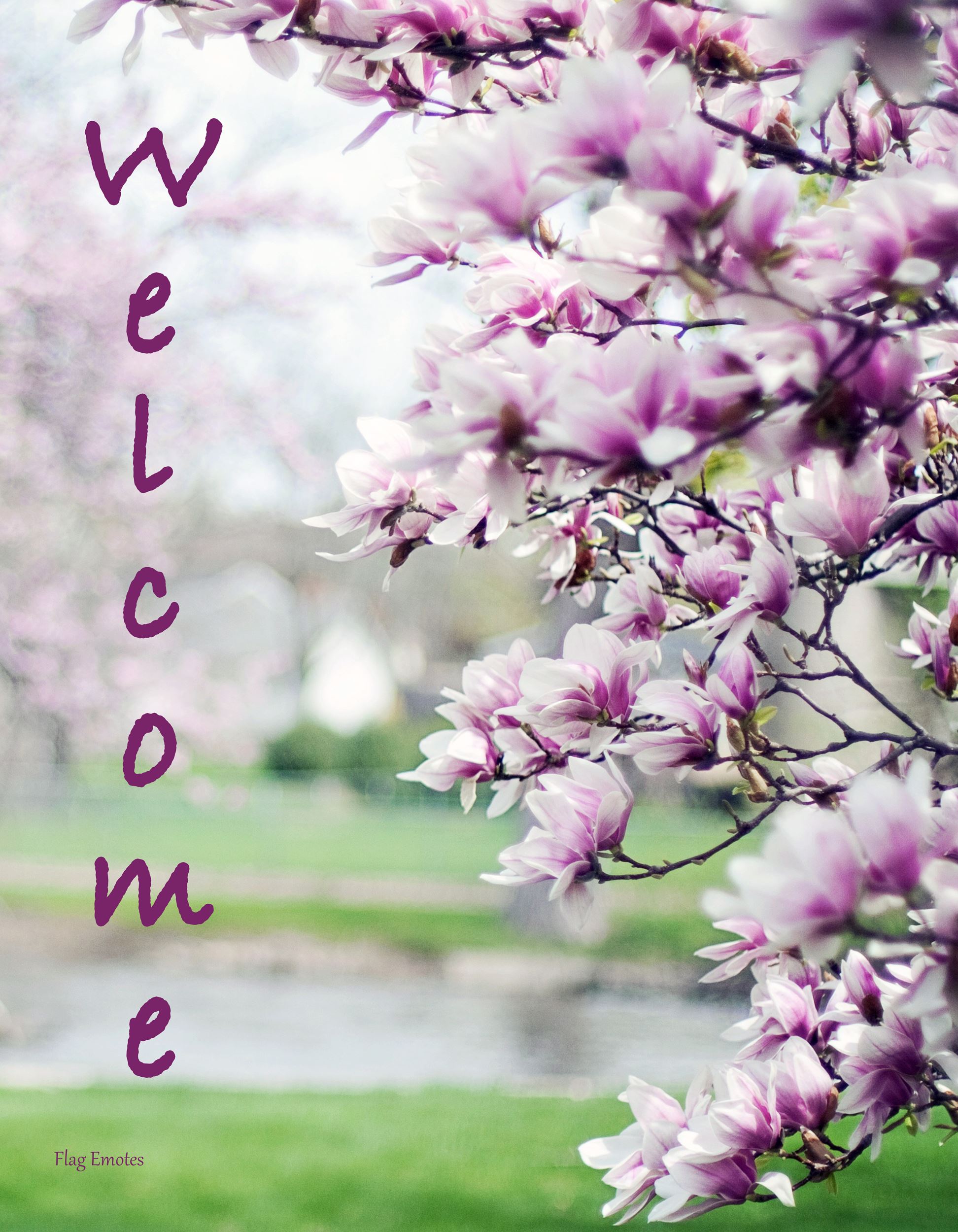 Flag Emotes - Double Sided Garden Flag - Pink Dogwood Tree Welcome