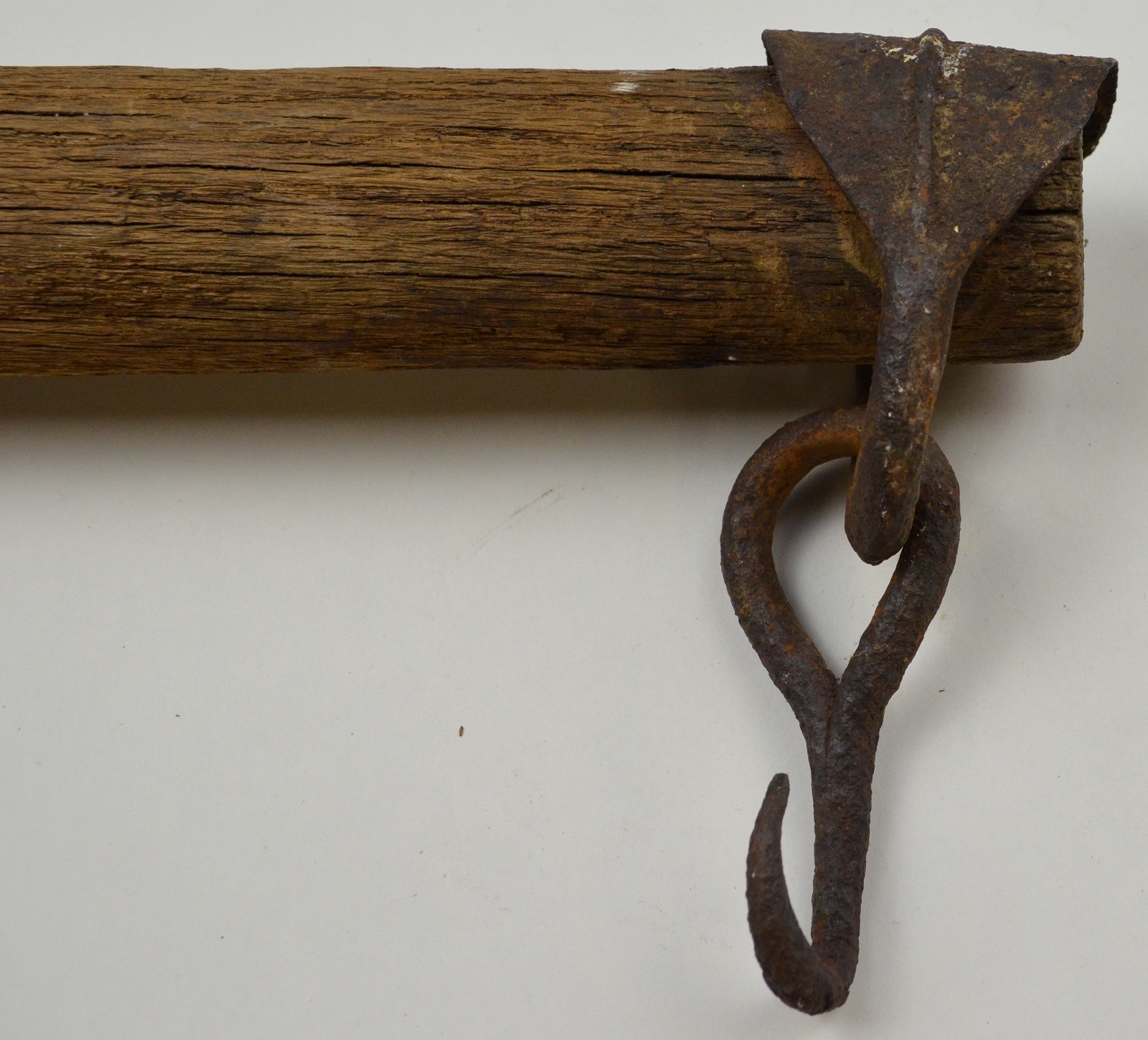 Horse Single Tree: Essential Guide to Comfort & Performance