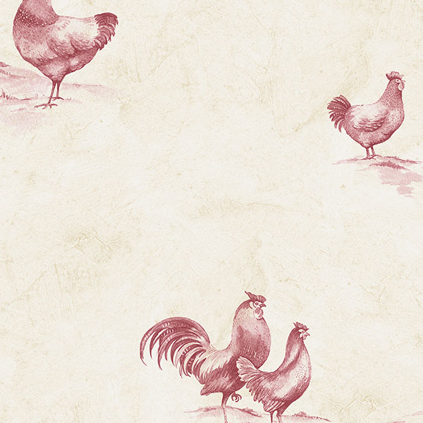 HD wallpaper: birds, chickens, dark, roosters | Wallpaper Flare