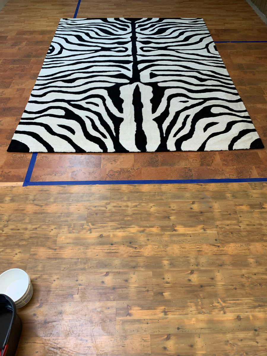 Thornbury Animal Print Handmade Tufted Wool Ivory/Black Area Rug